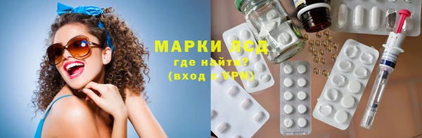 прущие грибы Дмитровск