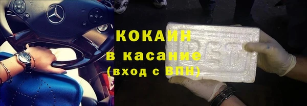 прущие грибы Дмитровск