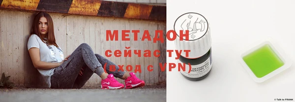 прущие грибы Дмитровск