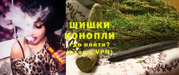 прущие грибы Дмитровск