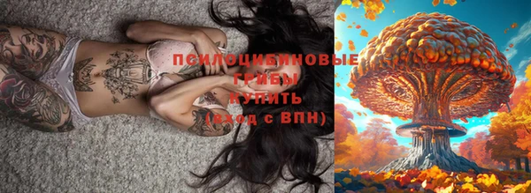 прущие грибы Дмитровск