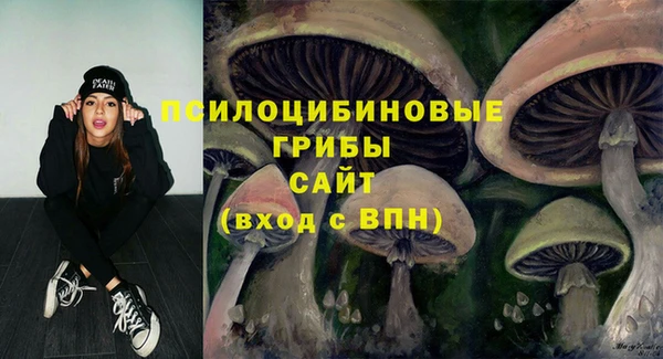 прущие грибы Дмитровск