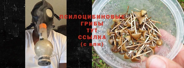 прущие грибы Дмитровск