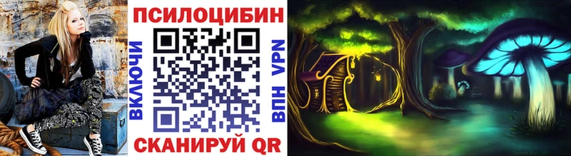 Купить где  Кимры  Псилоцибиновые грибы Psilocybine cubensis 
